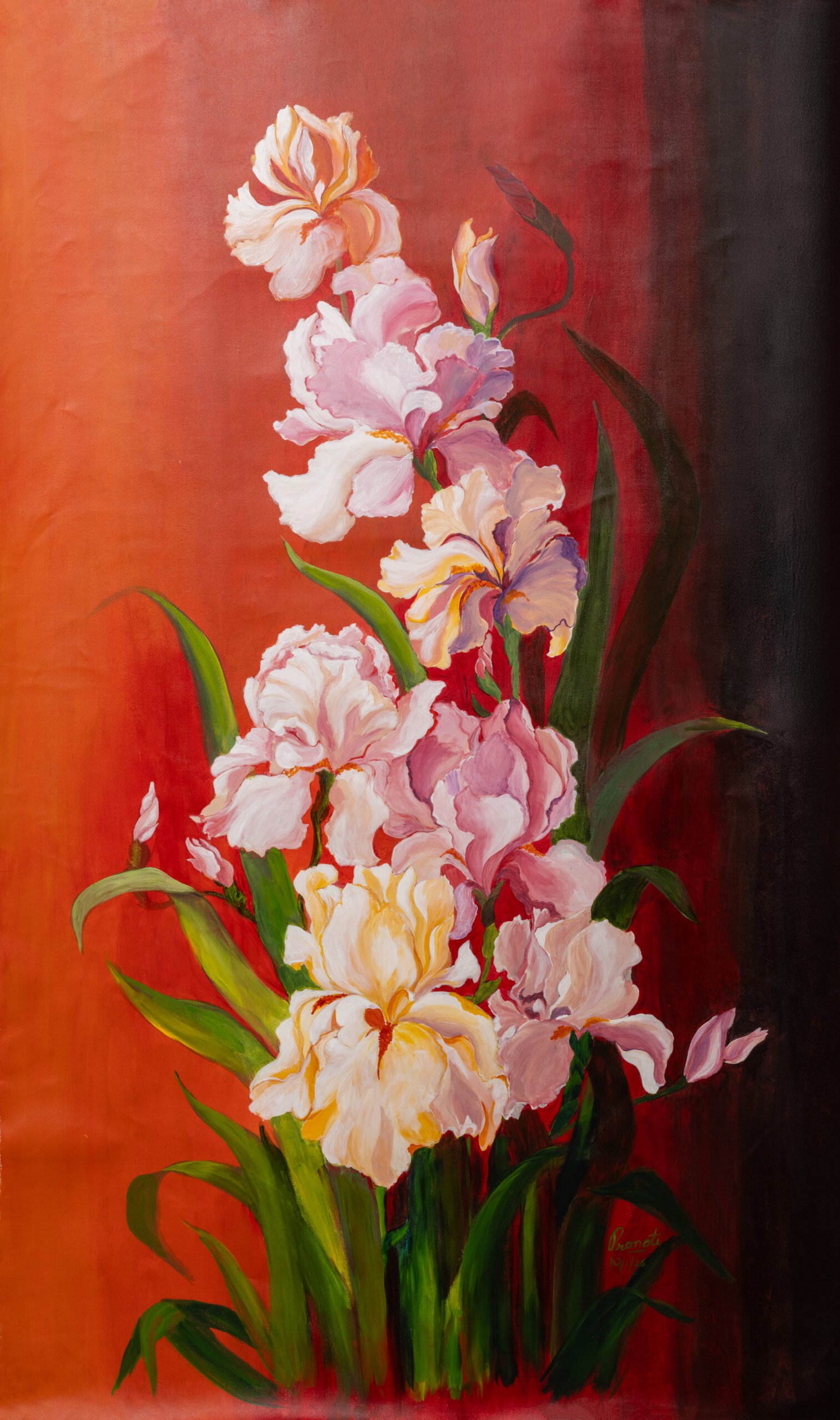 The Iridescent Irises